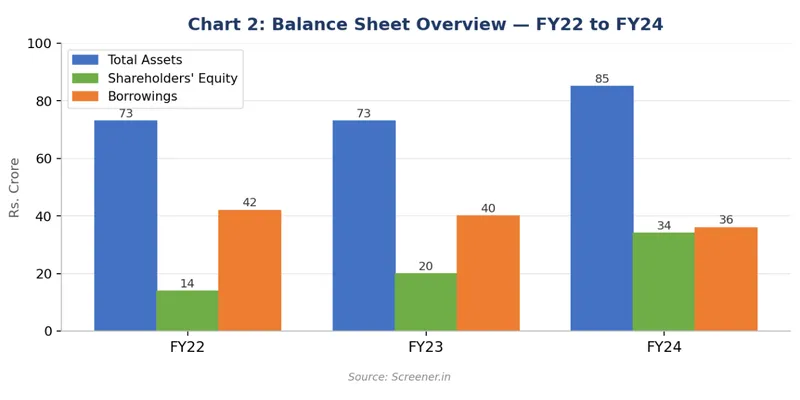 Balance Sheet Overview — FY22 to FY24